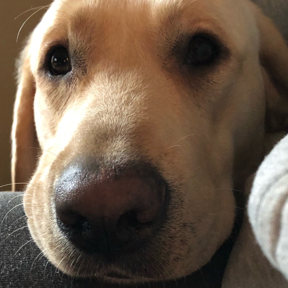 Meet your Posher, Jana